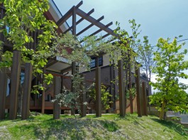 福岡県糸島市W様邸ガーデン工事のデザイン例。パーゴラとポールで雰囲気のあるガーデンに