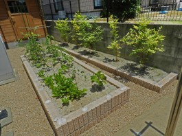 福岡県糸島市W様邸ガーデン工事のデザイン例。化粧ブロックの畑。家庭菜園も楽しめます。