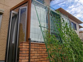 福岡県糸島市にてお庭にわんちゃんと過ごす屋根や扉・窓で囲ったお部屋を作りました。