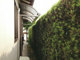 福岡県春日市の現場にて、お庭に柱のないテラス屋根を施工しました。