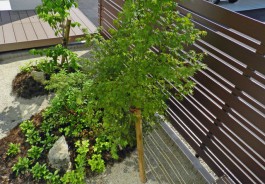 フェンスが木目調なので、前に植栽を置くと、全体のバランスが良くなります。